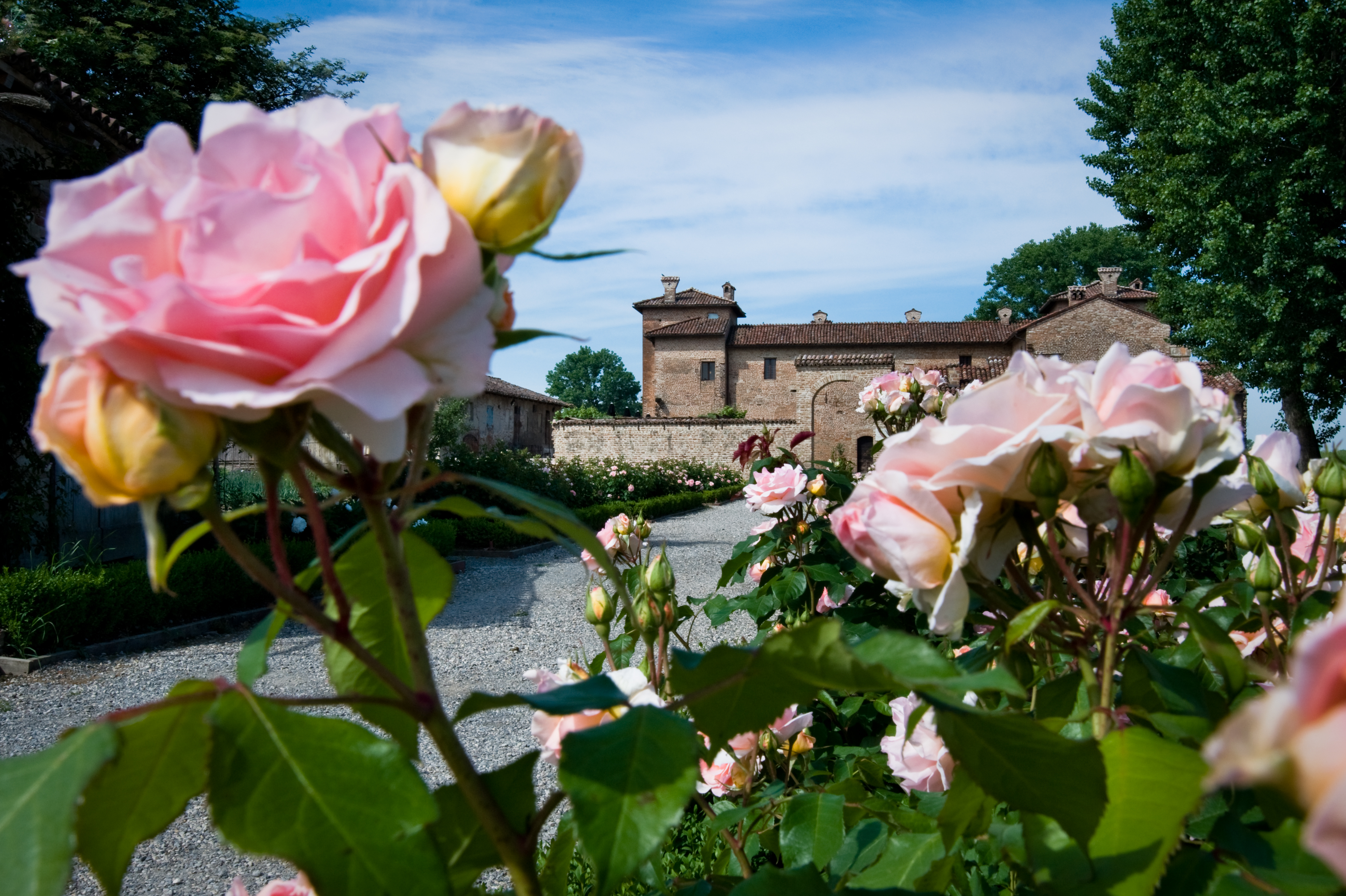 Il roseto dell'Antica Corte Pallavicina by Alessandro Gandolfi Alessandro Gandolfi